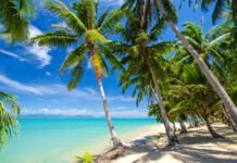 Oceania Cruises – Karibische Träume 2022 & 2023