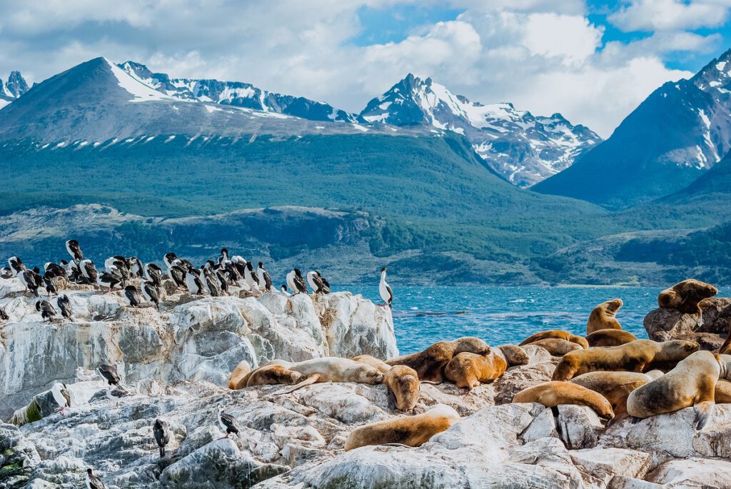 beagle-kanal-ushuaia-argentinien